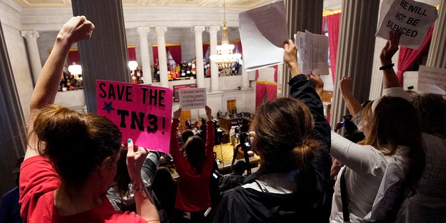 Gun reform and "Tennessee Three" supporters raise signs in the gallery of the House chamber Thursday, April 6, 2023, in Nashville, Tennessee.