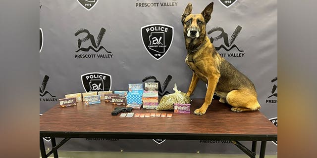 Prescott Valley Police K9 Kato