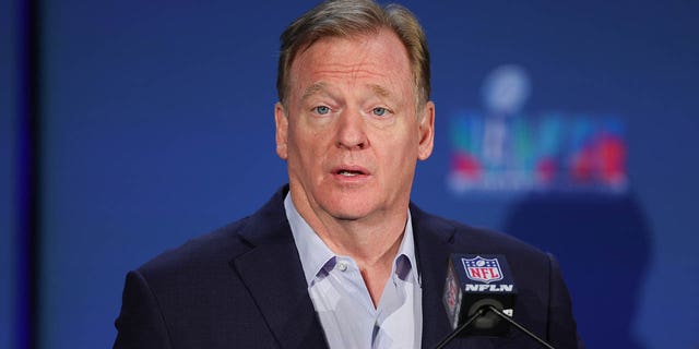 Roger Goodell in February 2023