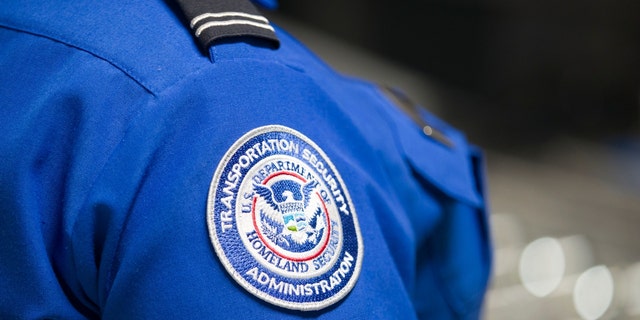 The TSA logo