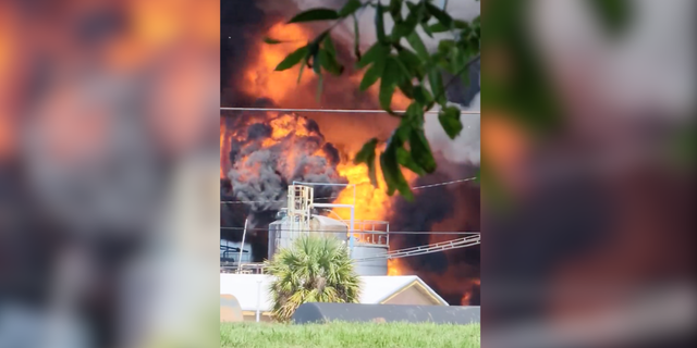 Fire at Georgia plant erupts in phone video