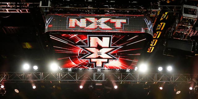 The WWE NXT logo in 2016. 