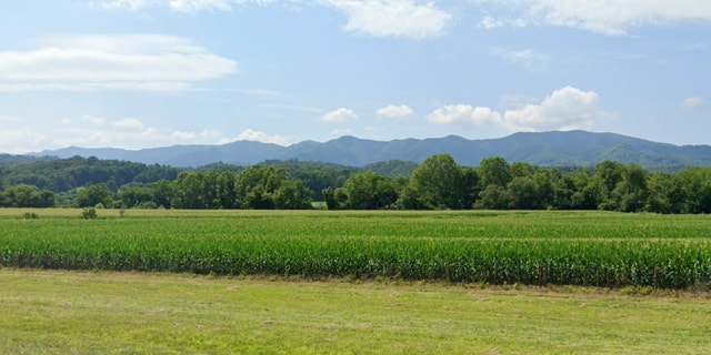 The crash took place in a field in Andrews, North Carolina at roughly 10:45 a.m.