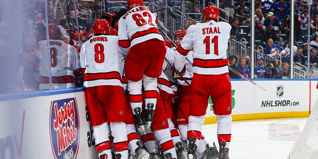 Canes celebrate series winning goal