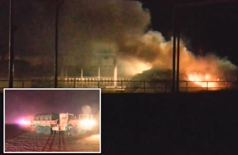 Texas dairy farm blaze leaves 20K cattle dead, one worker injured