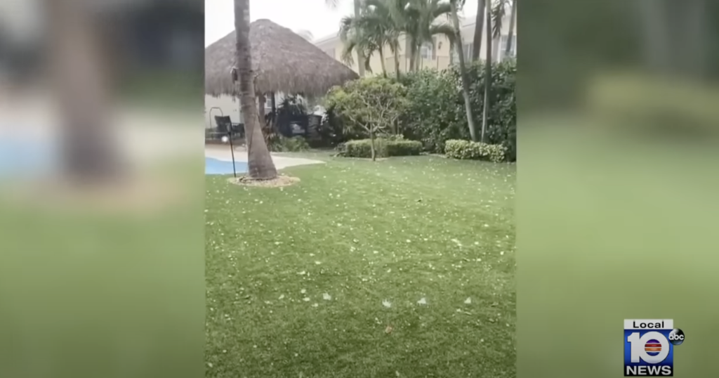Hail can be seen on the grass during the storm in Central Florida.