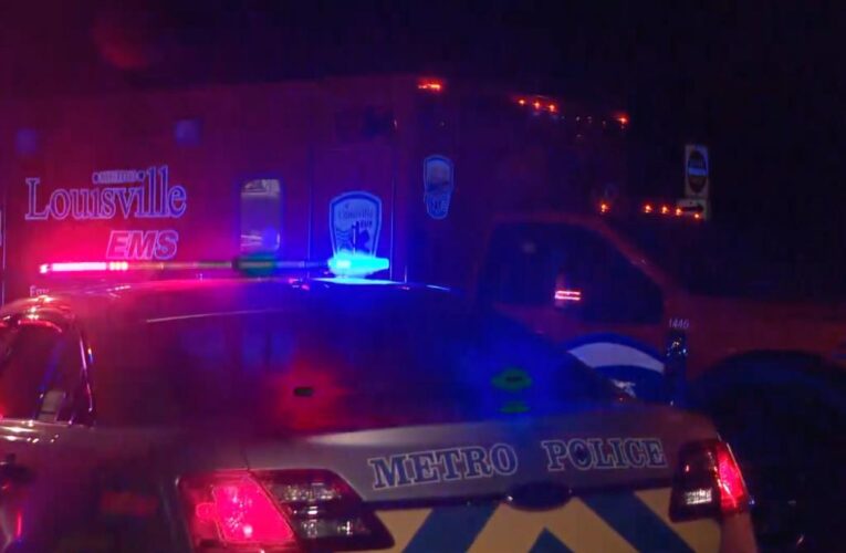 Louisville mass shooting leaves 2 dead, 4 injured in third shooting this week