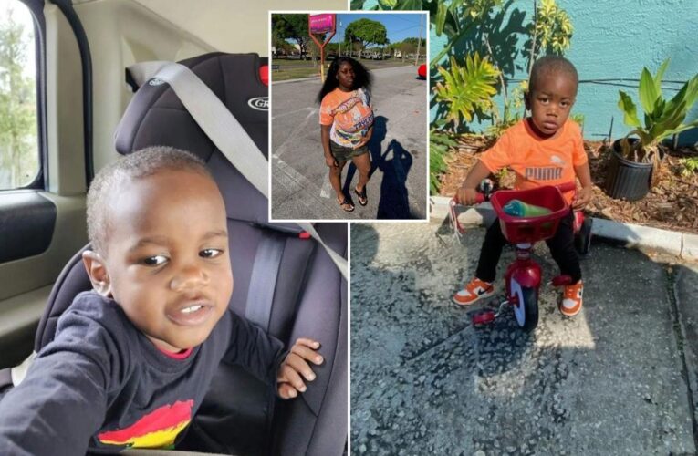 Missing Florida toddler Taylen Mosley found inside alligator’s mouth after mother’s murder