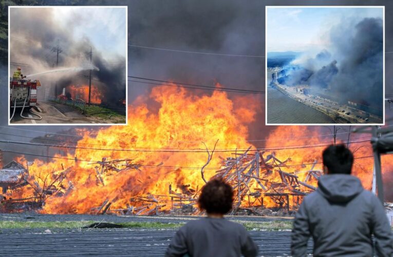 Hundreds flee from wildfire in South Korean seaside city