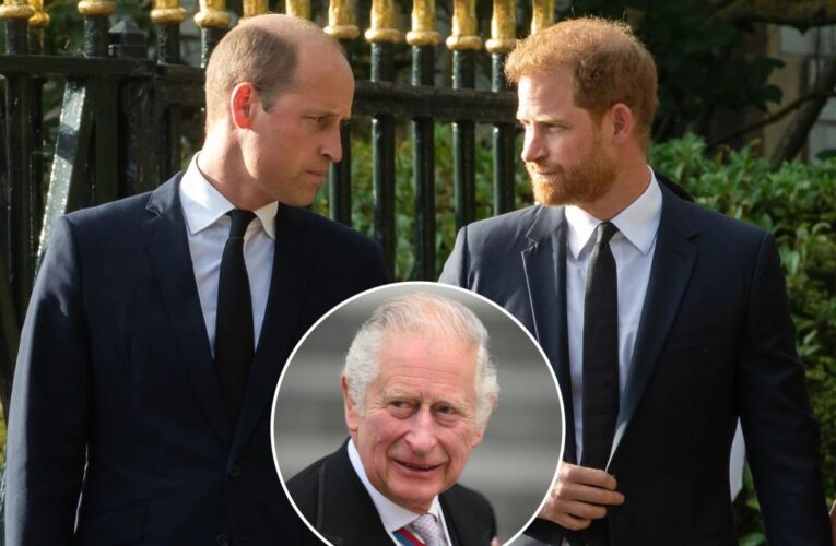 William and Harry to be ‘separated’ at coronation to avoid drama: report