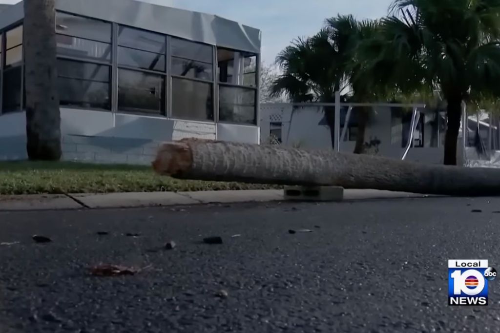 A palm tree snaps and falls down on the road in front of a damaged building after the storm in Central Florida. 