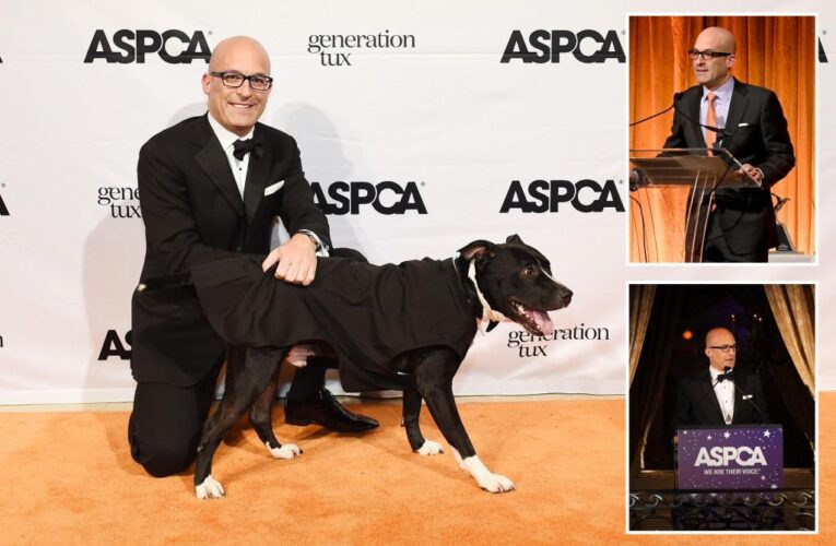 ASPCA gives 2% of budget to pet shelters while ‘hoarding’ millions: think tank