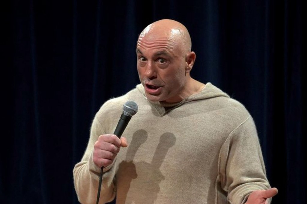 Joe Rogan said he saw what Bid Light was doing by using "people that are popular" to help them.