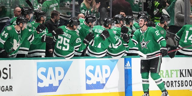 Dallas Stars goal on bench