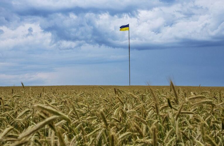 Here’s all we know about the EU deal on tariff-free Ukrainian grain