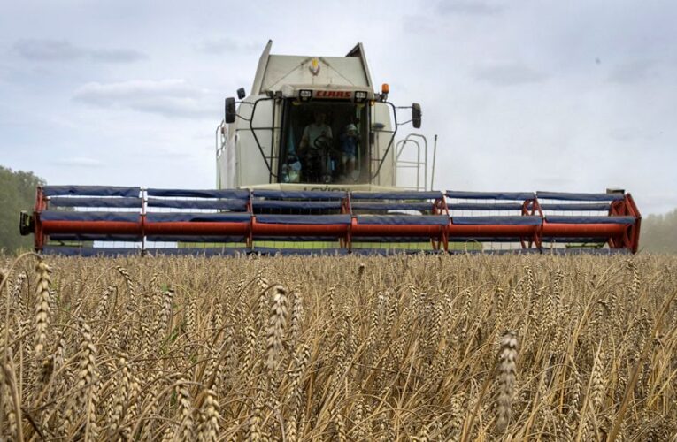 12 member states raise ‘serious concerns’ about EU deal on Ukrainian grain, reigniting controversy