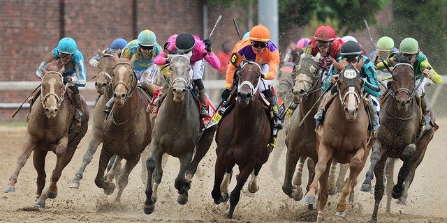 Horses at KEntucky Derby