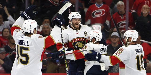 Panthers celebrate overtime goal