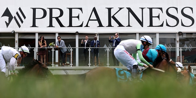 View of finish line at Preakness