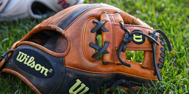 A baseball glove