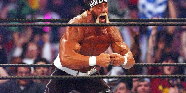 Hulk Hogan at Wrestlemania X8