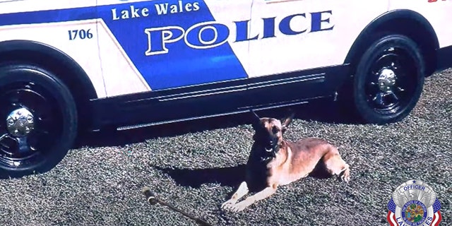 A Lake Wales police car