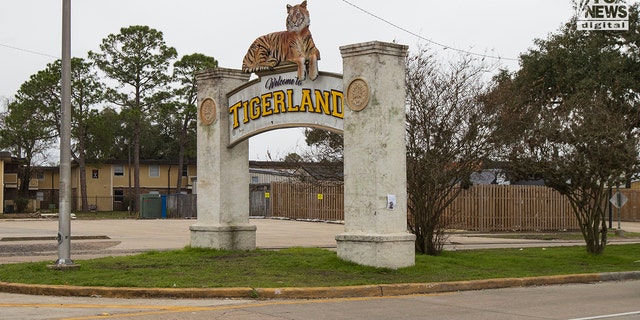 A sign reads "Welcome to Tigerland" with a faux tiger sitting on top.