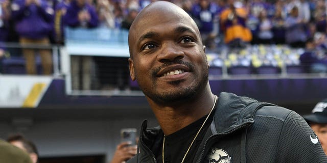 Adrian Peterson at Vikings game