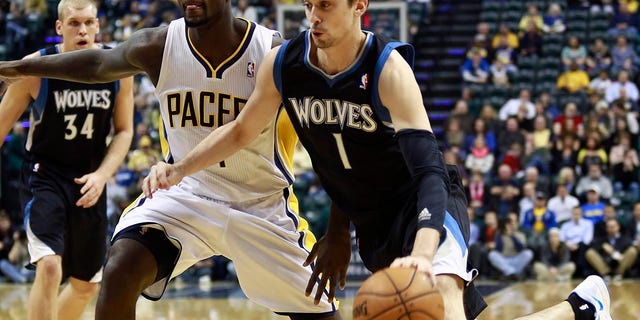 Alexey Shved in Minnesota