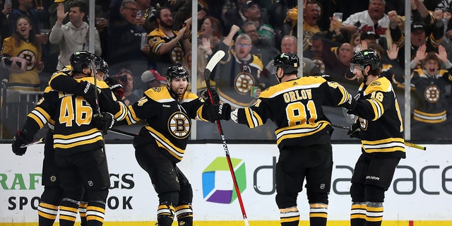 Bruins celebrate goal