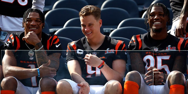 Cincinnati Bengals players take a team photo