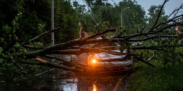 A vehicle is crushed by a fallen tree in Virginia Beach