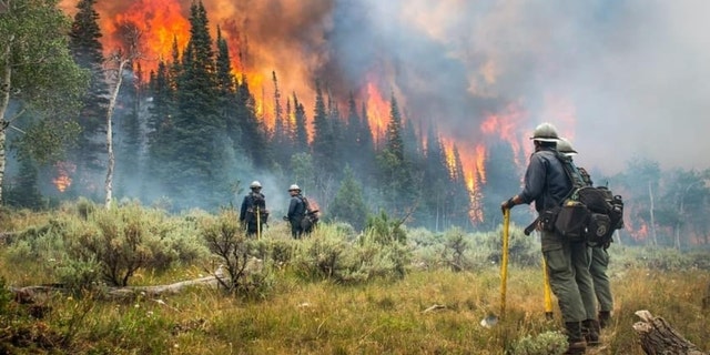 California's McKinney Fire