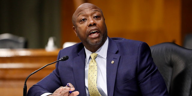 Sen. Scott at a committee hearing