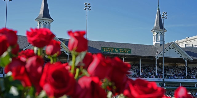 Roses and twin spires