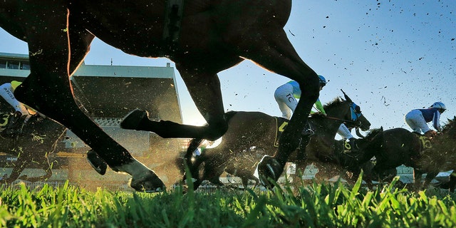 Horses racing on a field