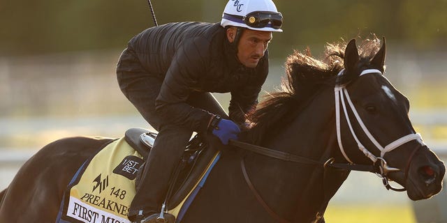 First Mission during a training session ahead Preakness