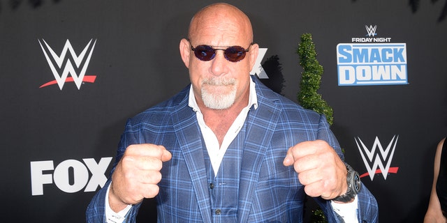 Goldberg in WWE