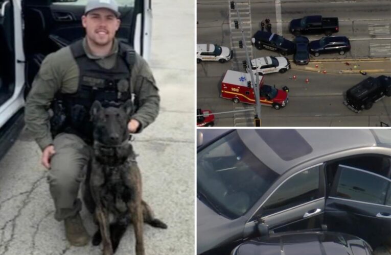 Illinois police dog killed during shootout in Cook County