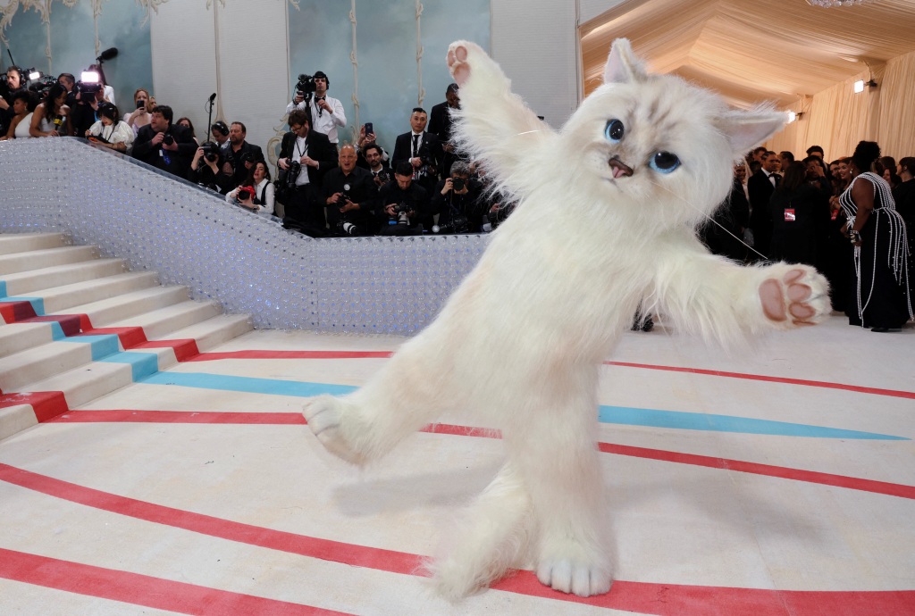 Jared Leto dressed as Karl Lagerfeld's cat Choupette.