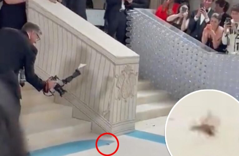 Met Gala cockroach crashes red carpet: Squashed but not forgotten