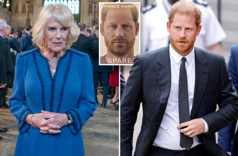 Camilla ‘furious’ over Prince Harry’s claims: royal expert