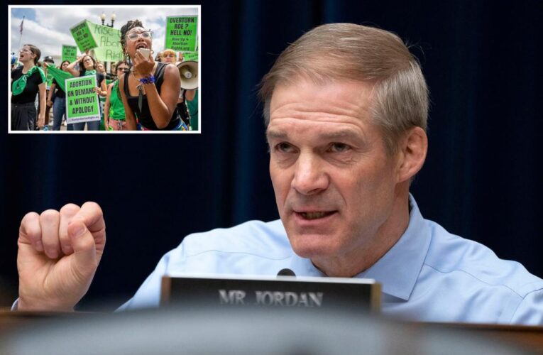 Jim Jordan demands to know why authorities were ‘discouraged’ from arresting Supreme Court protesters