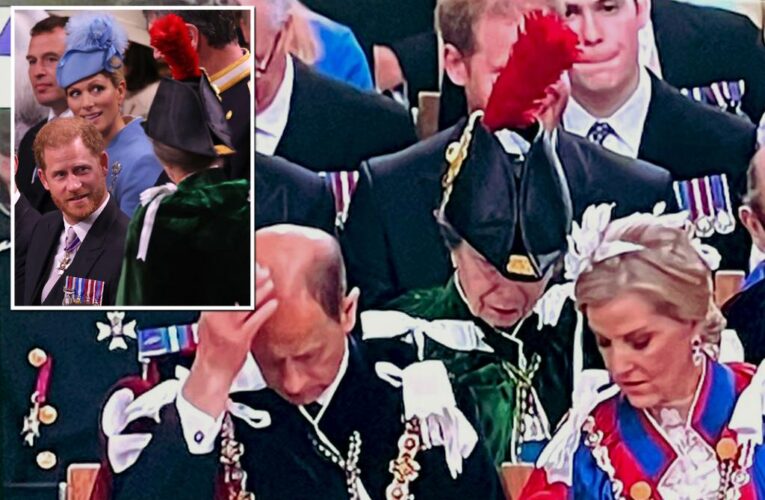 Prince Harry blocked by Princess Anne’s feathers during coronation