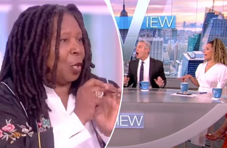 Whoopi Goldberg bans ‘Fartgate’ on ‘The View’