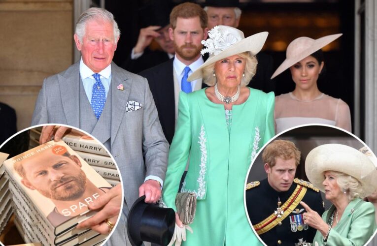 Camilla ‘alienated’ Harry from Charles: source