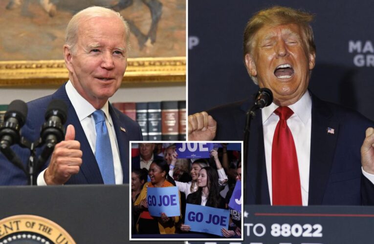 Joe Biden up 7 points against Donald Trump in 2024 election