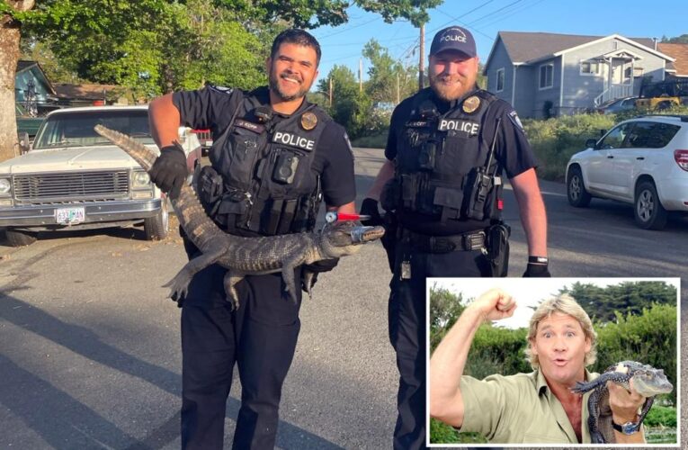 Oregon cops bag alligator using tips from ‘The Crocodile Hunter’