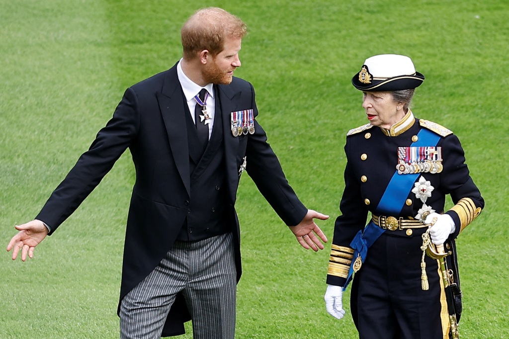 princess anne prince harry 