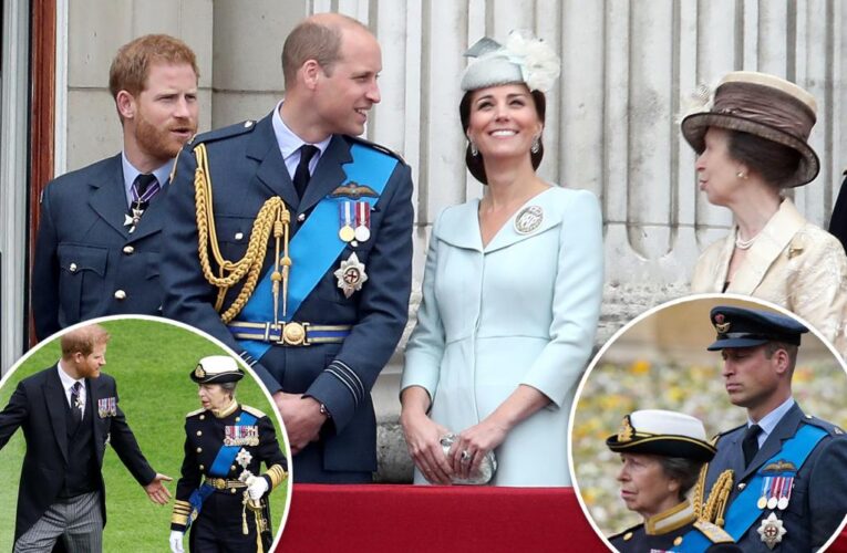 Princes Harry, William could bury hatchet with help from this royal: report